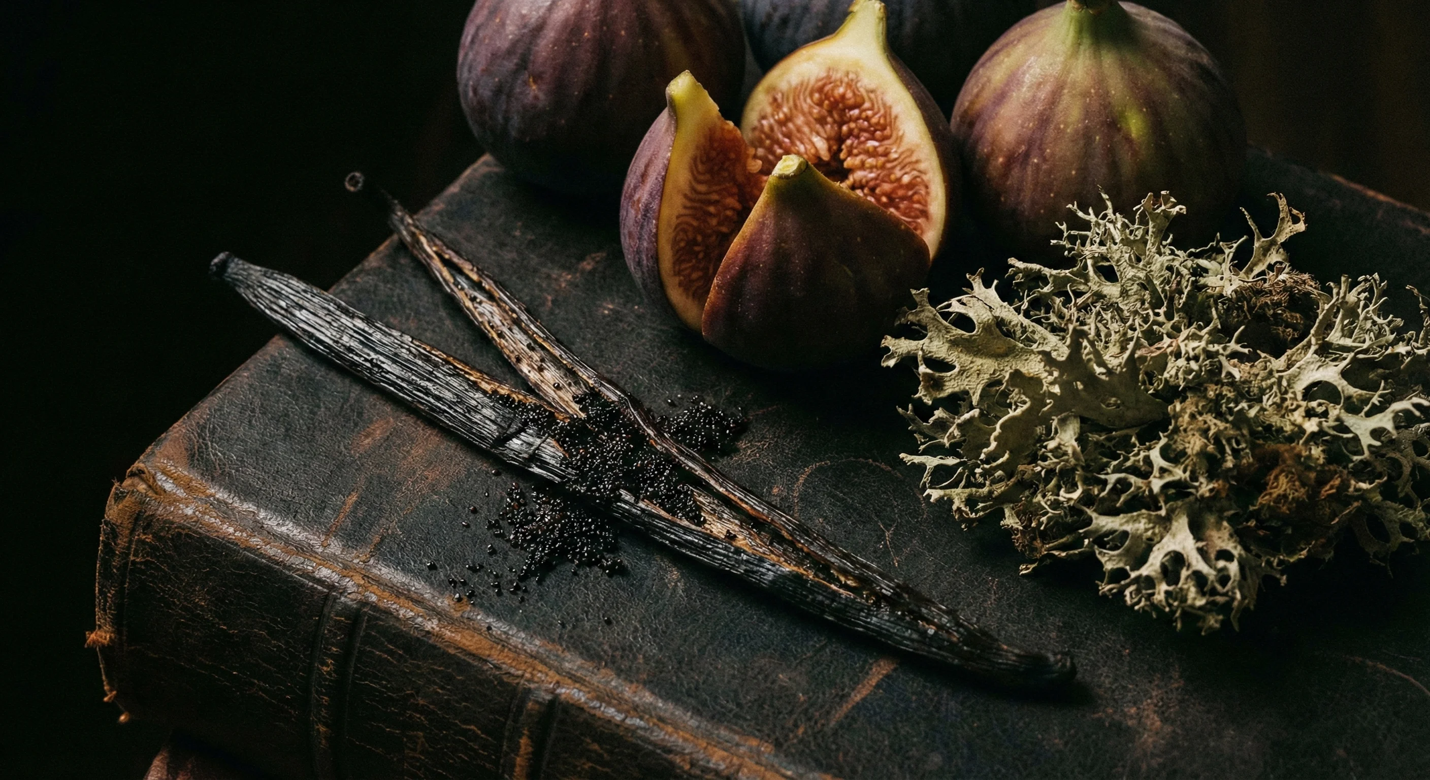 Ingredientes de invierno DeLight